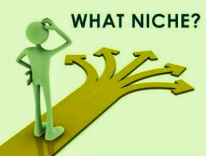 Finding A Niche