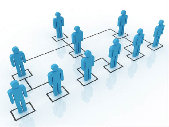 Multi-Level Marketing Network