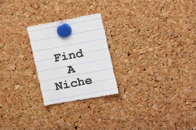 Are Micro-Niche Sites Still Profitable?