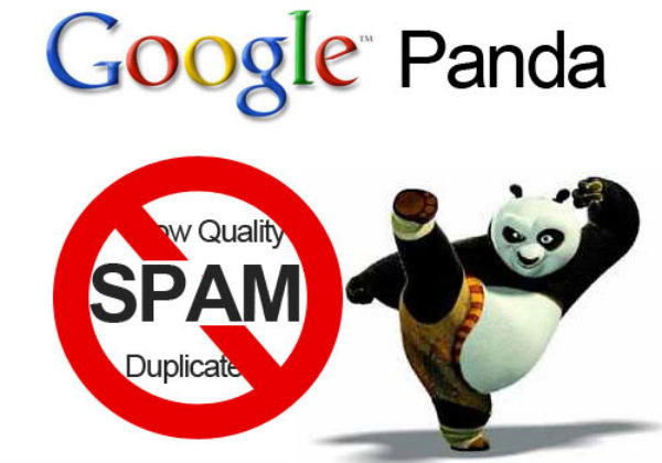 l'algorithme google panda
